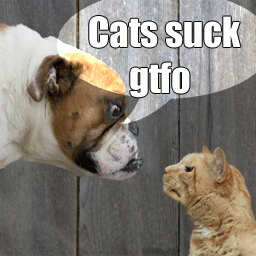 CTF-BT-DoggyStyle-old