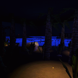 CTF-BT-Island_Night